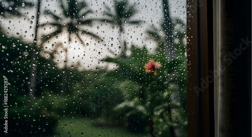 Rain water drops on glass window pane with blurred tropical palm trees background. Wet monsoon weather and melancholy mood concept.