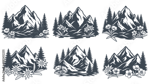 A collection of six mountain landscape illustrations featuring flora and fauna from various viewpoints