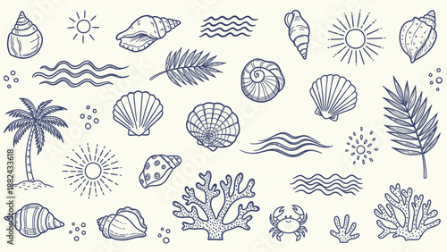 A collection of ocean elements including seashells, seaweed, and coral, illustrated in a simple line art style.