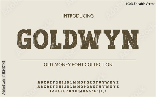 GOLDWYN is a distinguished old money sans serif font built on balance, restraint, and heritage clarity. Its clean letterforms suit luxury branding, editorial design, corporate identity, upscale packag