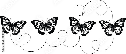 Black butterfly silhouettes with dotted flight trail paths collection isolated on white background for garden nature decoration and vector design.