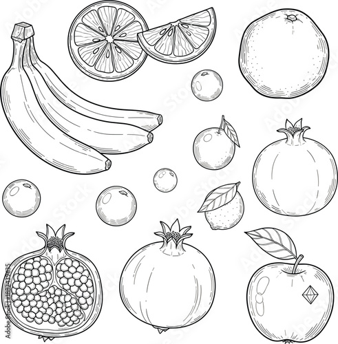 Professional hand-drawn fruit vector collection featuring detailed sketches of pomegranates bananas and a sliced orange.
