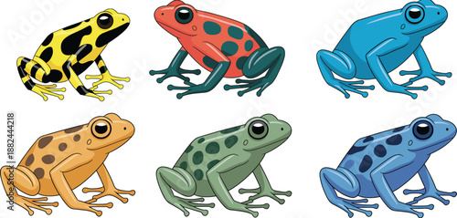 colorful cartoon frogs with unique patterns and vibrant skin tones, ideal for educational, scientific, or creative amphibian-themed illustrations.