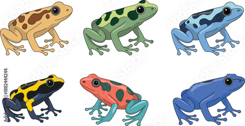 Colorful cartoon poison dart frogs set in different patterns and colors, cute amphibian illustrations isolated on white background for wildlife, education, and design