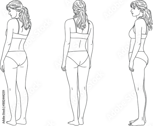 Female body proportions line art illustration showing front, back, and side views, realistic woman figure outline isolated on white background for anatomy, fashion, and design reference