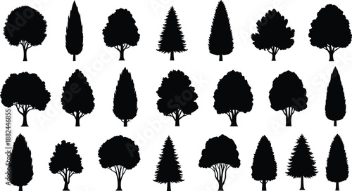Set of twenty three diverse black tree silhouettes including pine cedar oak and maple isolated on white background for landscape design architecture and nature vector