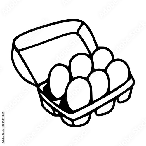 fresh chicken eggs in open carton box vector illustration