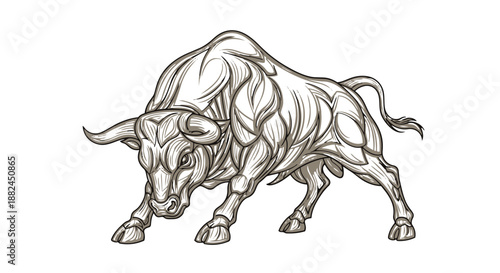 A muscular bull in an aggressive stance