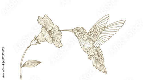 A hummingbird flying towards a flower on a stem with leaves