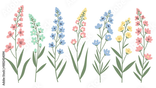 Delphinium Flower Set: Pastel Color Vector Illustration