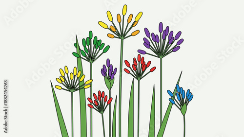 Colorful Allium Flowers Illustration