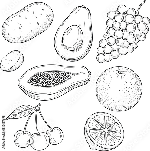 Professional hand-drawn vector collection of organic produce featuring detailed sketches of a potato avocado and grapes.