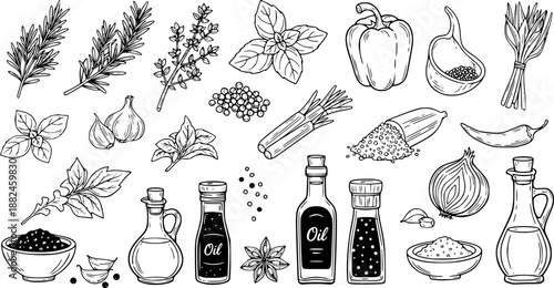 Hand-drawn collection of fresh ingredients for cooking and seasoning

