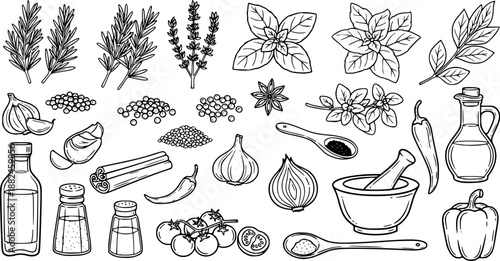 Hand-drawn collection of fresh ingredients for cooking and seasoning
