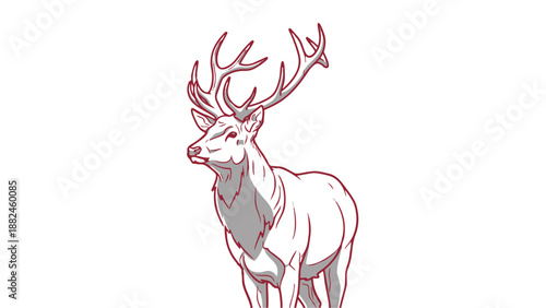 A drawing of a deer with large antlers