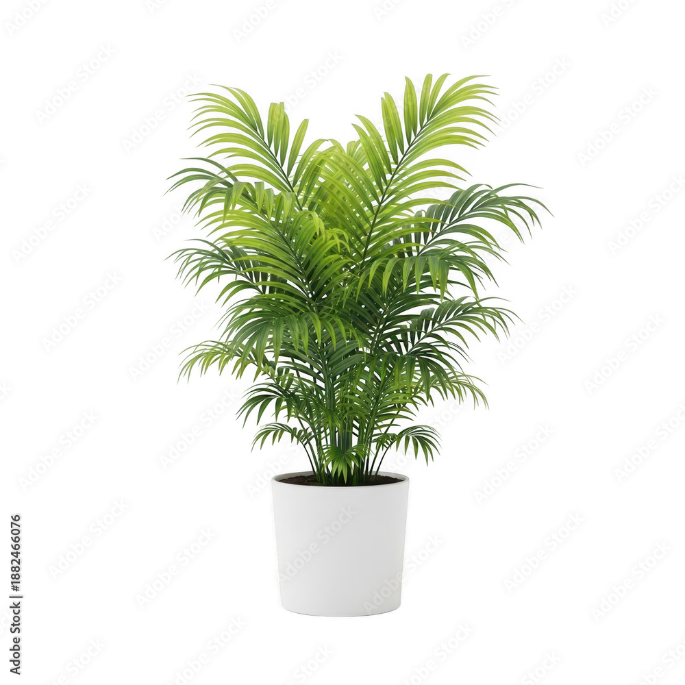 Obraz premium Potted palm plant isolated on transparent background
