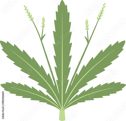 Simple Flat Style Green Leaf Botanical Plant Nature Graphic Element