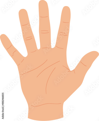Flat Design Open Palm Hand Gesture Showing Five Fingers Illustration