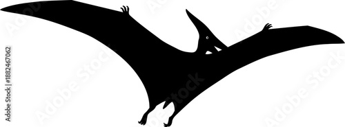 A pteranodon flying reptile silhouette, captured in mid-flight with outstretched wings.