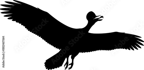 A pterodactylus pterosaur, soaring in profile with its large outstretched wings, simple vector silhouette.