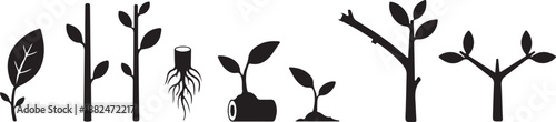 Simple black silhouette vector illustration showing plant growth stages from seed to small tree.