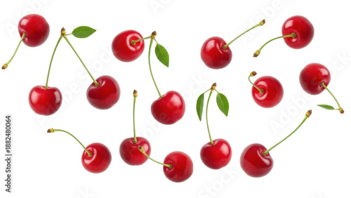Sour cherry berries isolated on white or transparent background. Falling cherry fruits with green stem and leaf.