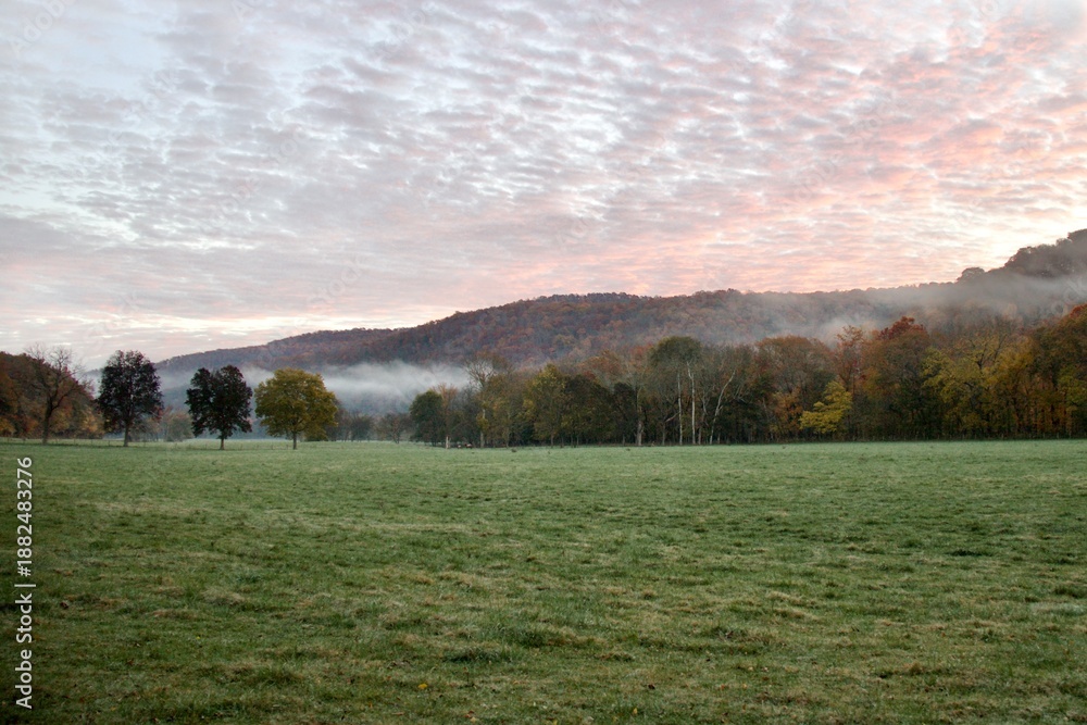 Fototapeta premium Misty Autumn Morning Meadow With Forested Hills and Pink Sunrise Sky
