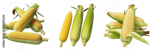 Foto Fresh sweet corn cobs with green husks isolated on white background, raw organic