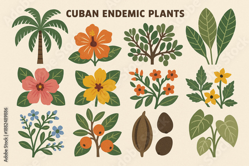 Cuban Endemic Plants and Island Nature Icon Set Vector Illustration