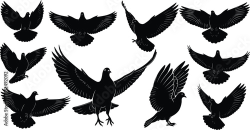 Black pigeon and dove silhouettes collection in various flying and landing poses isolated on white background for peace vector design.