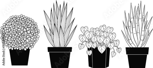 Black and white line art of potted house plants, indoor greenery collection, minimalist botanical sketches, set of four decorative houseplants on white background
