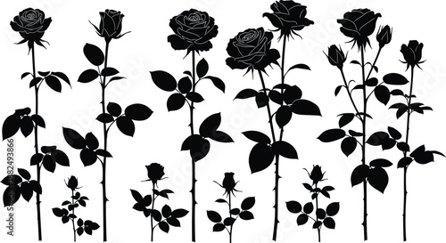 Black rose flower silhouette collection, elegant long stem roses with leaves and thorns, botanical vector set for floral tattoo designs, isolated.