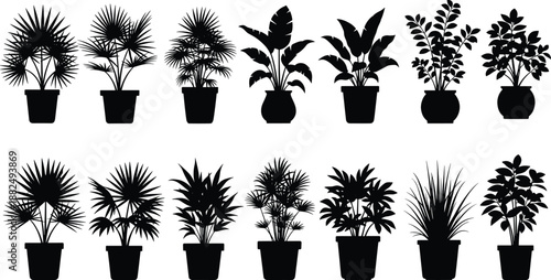 Black and white tropical fish silhouette collection, exotic coral reef underwater sea life icons, decorative aquatic animals set, marine nature vector illustration, isolated