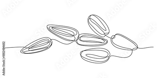 One line art drawing of several sunflower seeds scattered on a white background Vector, illustration