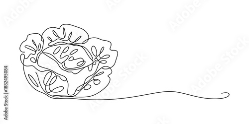 Continuous line art drawing of a fresh head of cabbage or lettuce Vector, illustration
