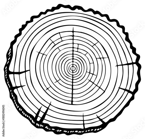 Black and white line art illustration of a tree trunk cross section with annual growth rings