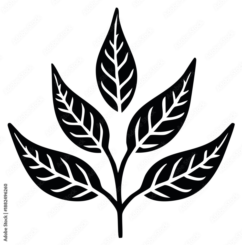 Fototapeta premium Stylized Black and White Branch with Five Detailed Leaves