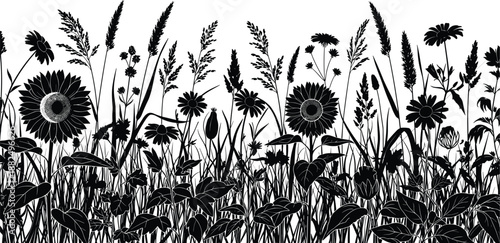 Black silhouette of a summer meadow with sunflowers, daisies, and wild grasses for floral borders, nature backgrounds, and garden decoration.