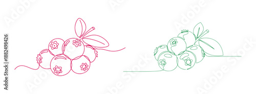 A Single Continuous Line Drawing Representing a Blueberry Icon. Vector Illustration in One Line.