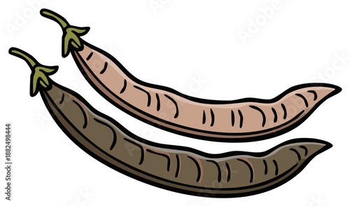 Stylized brown and beige seed pods vector illustration representing natural organic ingredients