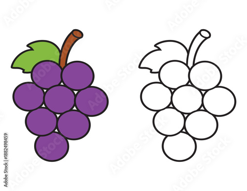 Cute Grapes Coloring Page for Kids. Fruit Illustration with Color and Black Outline. Simple activity sheet for toddlers. Fun and easy worksheet for children.