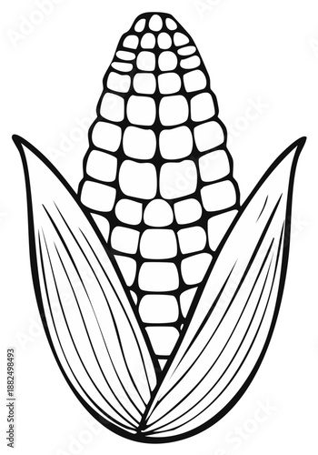 Doodle Style Sweet Corn Drawing Outline Featuring Husk Leaf Details For Coloring Pages and Vector Graphics