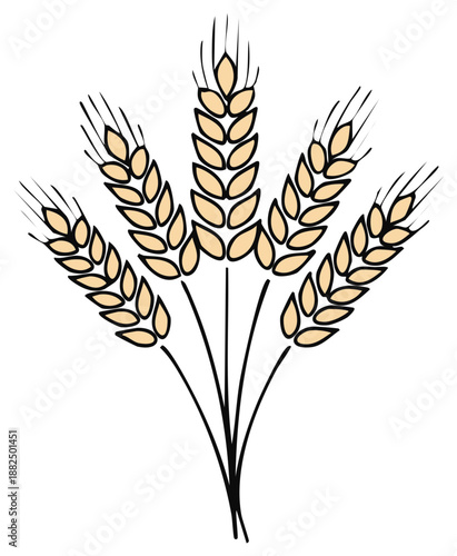 Sheaf of wheat illustration showing golden grains ready for harvest against a plain backdrop suitable for agriculture designs
