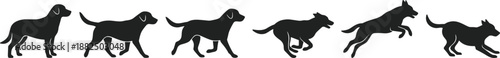 Dog silhouette motion sequence illustration showing standing walking trotting running jumping canine poses isolated on white background vector icons design