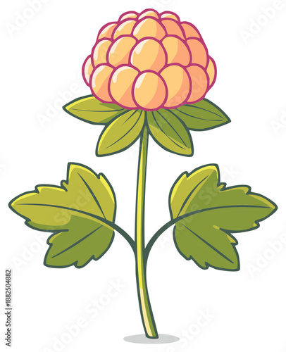Stylized Illustration of a Ripe Cloudberry Fruit with Green Leaves and Stem