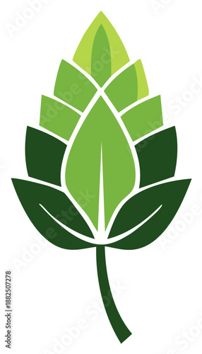 Graphic hop cone for brewing, green botanical leaf design element, hops plant for beer