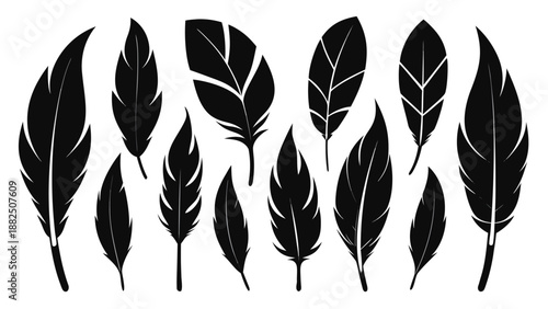 A collection of vibrant feather clip art, showcasing different colors and styles for creative projects..eps