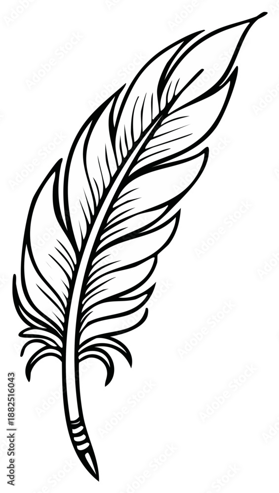 Fototapeta premium Elegant Hand Drawn Feather Quills Ink Line Art Vector Minimalist Design Element Illustration
