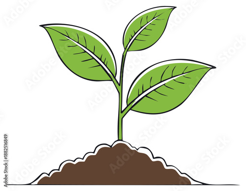 Green sprout emerging from rich soil symbolizing growth and new beginnings