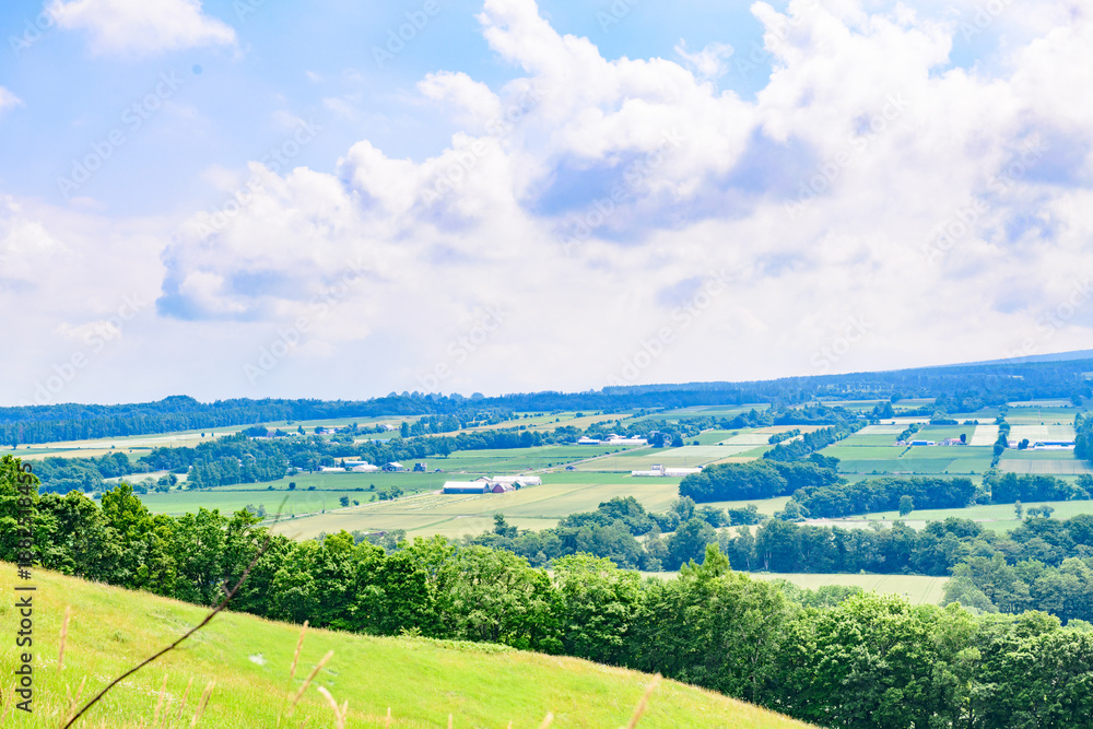 Obraz premium 道東清里町のほしかぜの丘を歩く